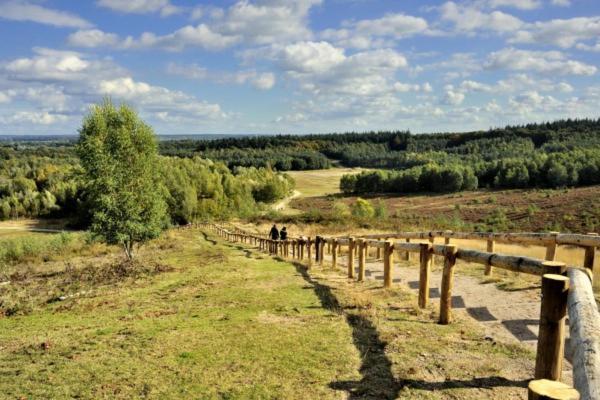 Chalet Veluwe Wageningen Villa Kültér fotó