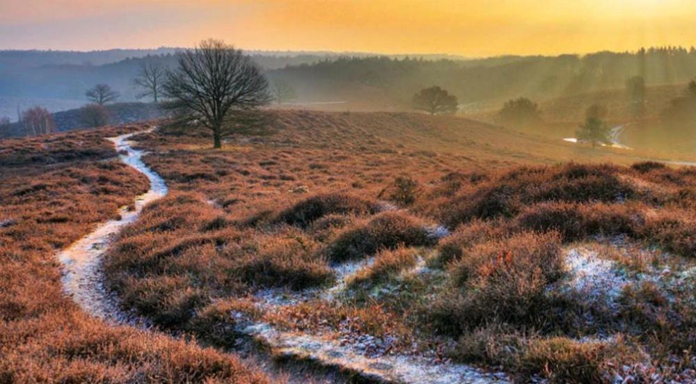 Chalet Veluwe Wageningen Villa Kültér fotó